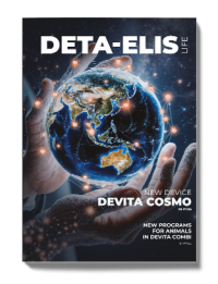 Magazine Deta-Elis life NEW (English version)